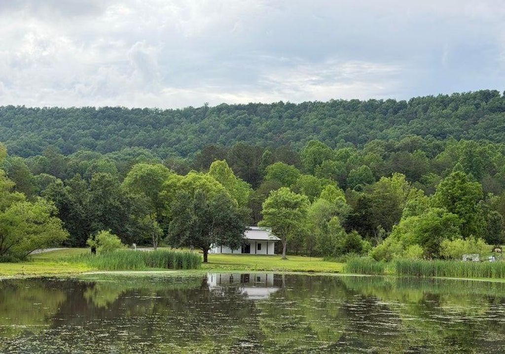 1483 Reagan Valley Road, Tellico Plains, TN 37385