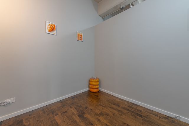 1528 S Wabash Avenue 603, Chicago, IL 60605