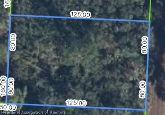 718 Neale Street, Lake Placid, FL 33852