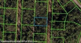 718 Neale Street, Lake Placid, FL 33852