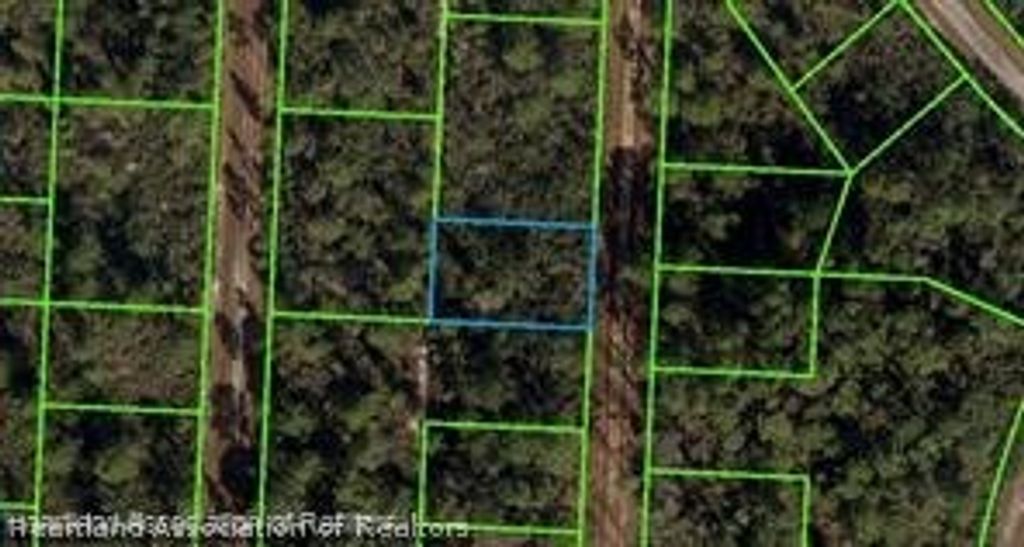 718 Neale Street, Lake Placid, FL 33852