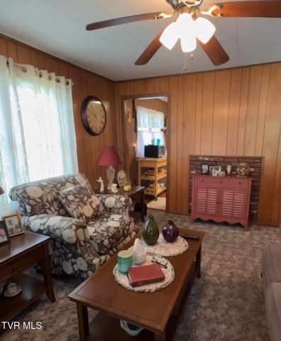 207 Charles Street, Hampton, TN 37658