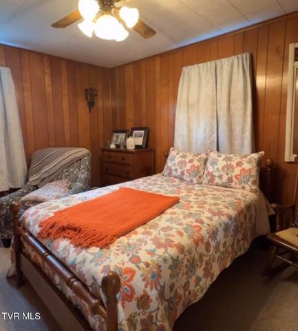 207 Charles Street, Hampton, TN 37658