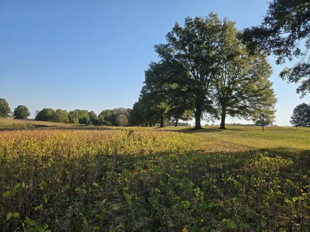 175 Dry Weakley Rd, Ethridge, TN 38456