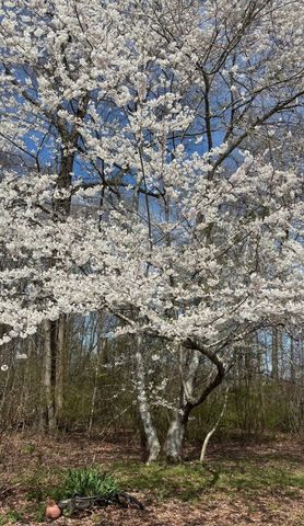 175 Dry Weakley Rd, Ethridge, TN 38456