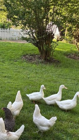 175 Dry Weakley Rd, Ethridge, TN 38456