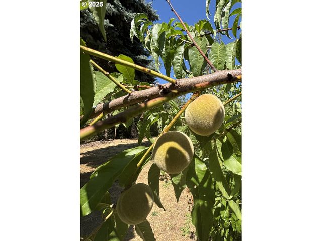 1931 SLEEPY HOLLOW Loop, Grants Pass, OR 97527