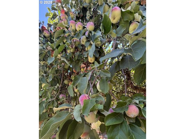 1931 SLEEPY HOLLOW Loop, Grants Pass, OR 97527