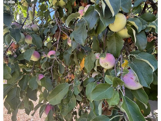 1931 SLEEPY HOLLOW Loop, Grants Pass, OR 97527