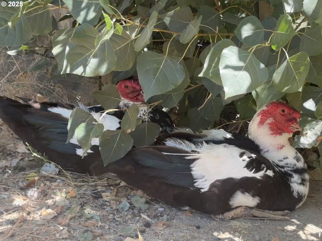 1931 SLEEPY HOLLOW Loop, Grants Pass, OR 97527