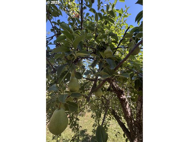 1931 SLEEPY HOLLOW Loop, Grants Pass, OR 97527