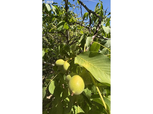 1931 SLEEPY HOLLOW Loop, Grants Pass, OR 97527