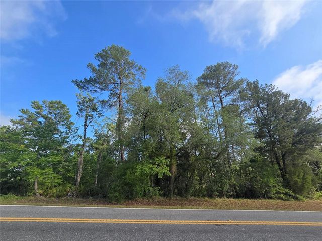 10185 NODDY TERN ROAD, Weeki Wachee, FL 34613