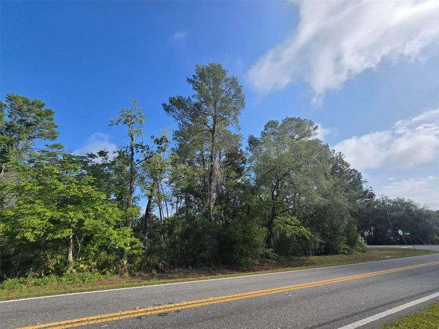 10185 NODDY TERN ROAD, Weeki Wachee, FL 34613