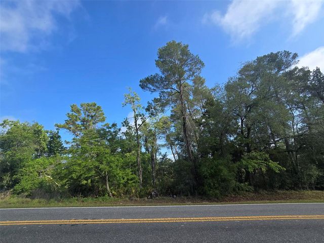 10185 NODDY TERN ROAD, Weeki Wachee, FL 34613