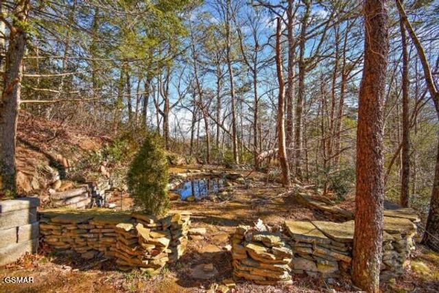 549 Geneva Drive, Gatlinburg, TN 37738