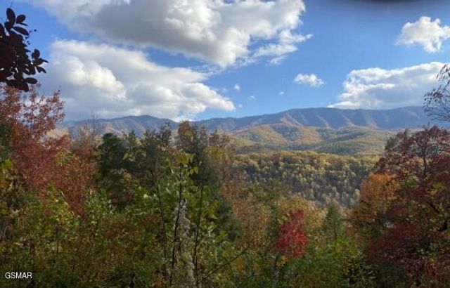 549 Geneva Drive, Gatlinburg, TN 37738