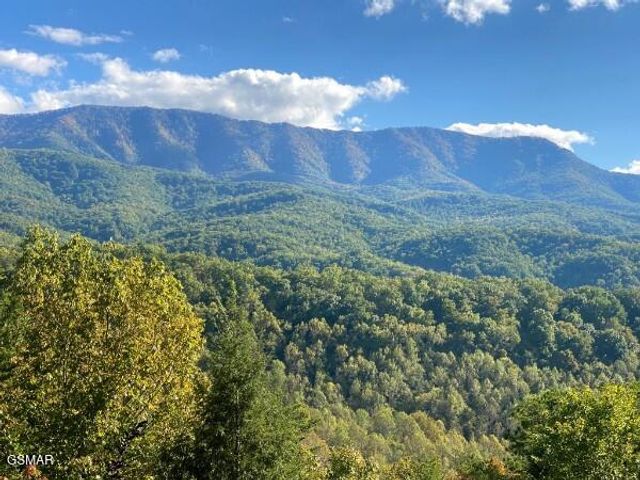 549 Geneva Drive, Gatlinburg, TN 37738