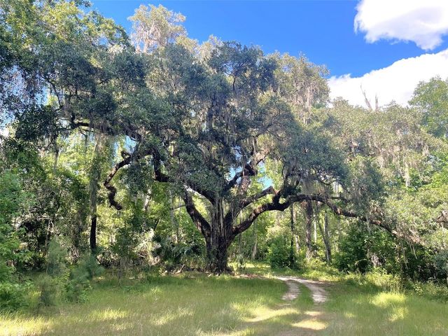 11816 SE COUNTY ROAD 234, Micanopy, FL 32667