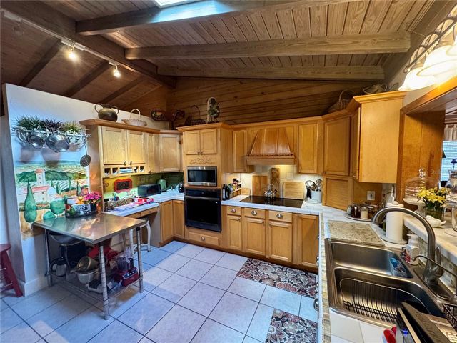 11816 SE COUNTY ROAD 234, Micanopy, FL 32667