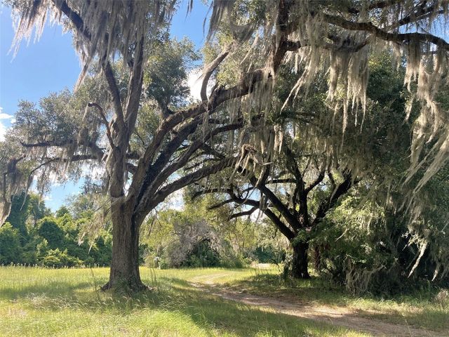 11816 SE COUNTY ROAD 234, Micanopy, FL 32667