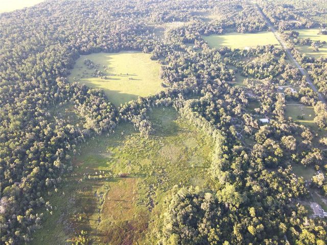 11816 SE COUNTY ROAD 234, Micanopy, FL 32667