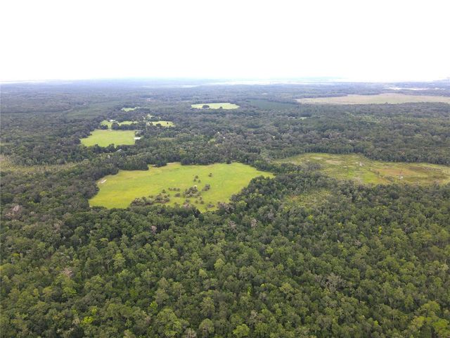 11816 SE COUNTY ROAD 234, Micanopy, FL 32667