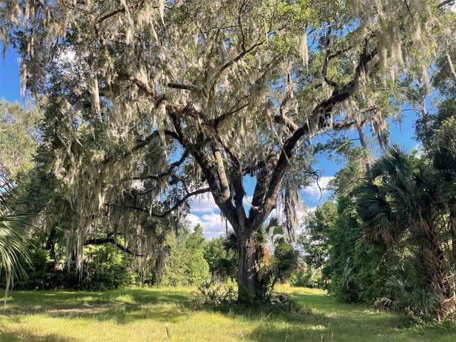 11816 SE COUNTY ROAD 234, Micanopy, FL 32667