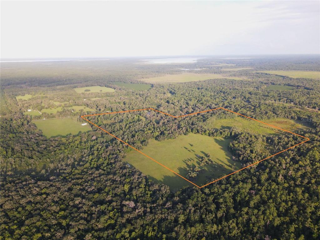 11816 SE COUNTY ROAD 234, Micanopy, FL 32667