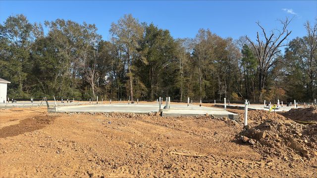 20903 Wildbird Cherry Lane, Porter, TX 77365