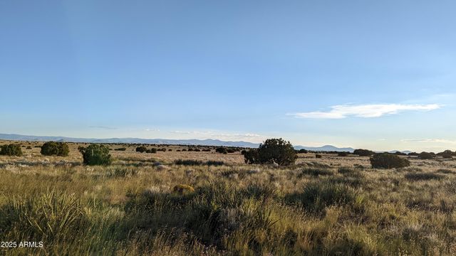 202 County Road N6451 -- 316, St Johns, AZ 85936