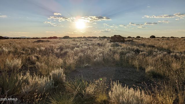 202 County Road N6451 -- 316, St Johns, AZ 85936