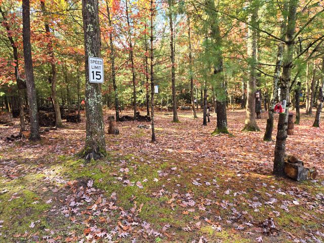 801 W Rainbow Trail, Baldwin, MI 49304