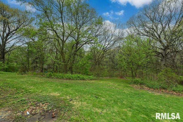 1121 N Wood Road, Peoria, IL 61604