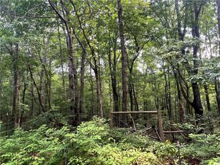 00 Little Mountain, Dawsonville, GA 30534