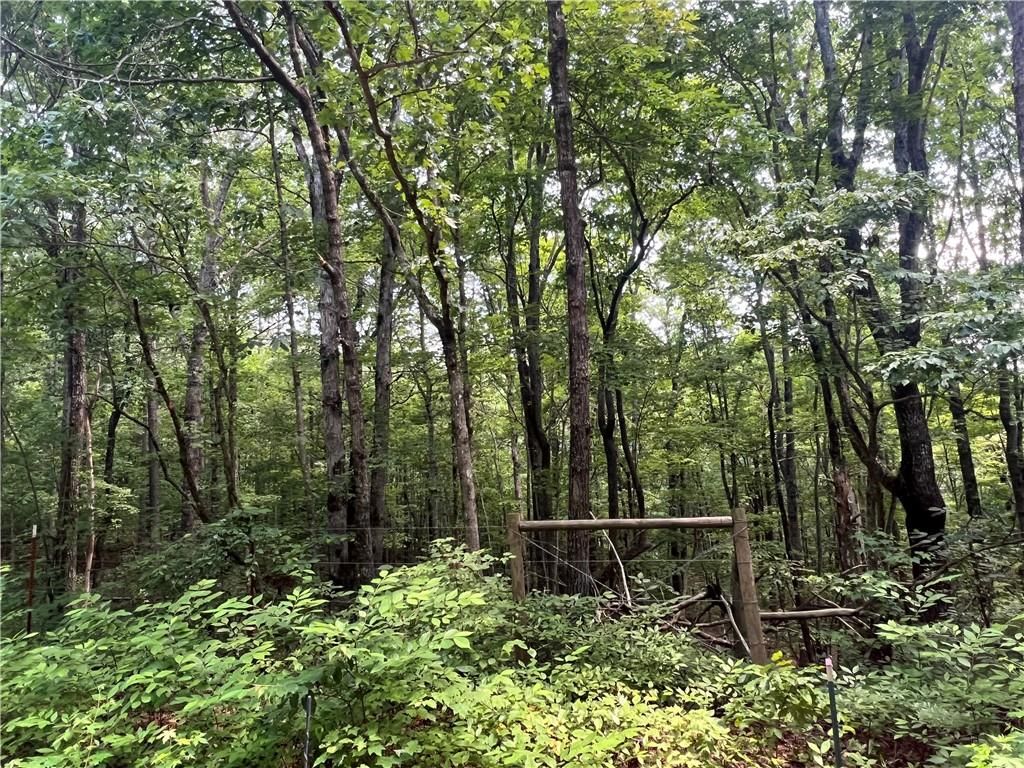00 Little Mountain, Dawsonville, GA 30534