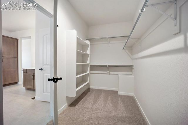 7906 Desert Wrangler Drive, Colorado Springs, CO 80908