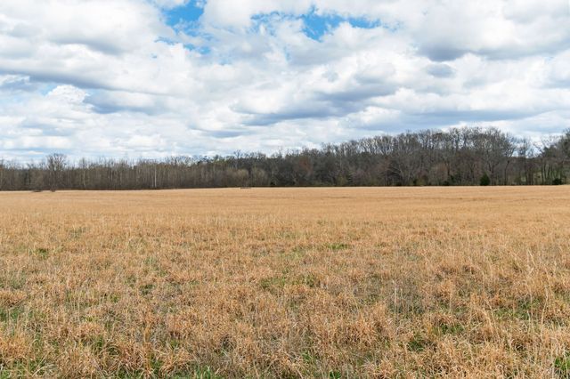 3301 Natural Bridge Rd, Waynesboro, TN 38485