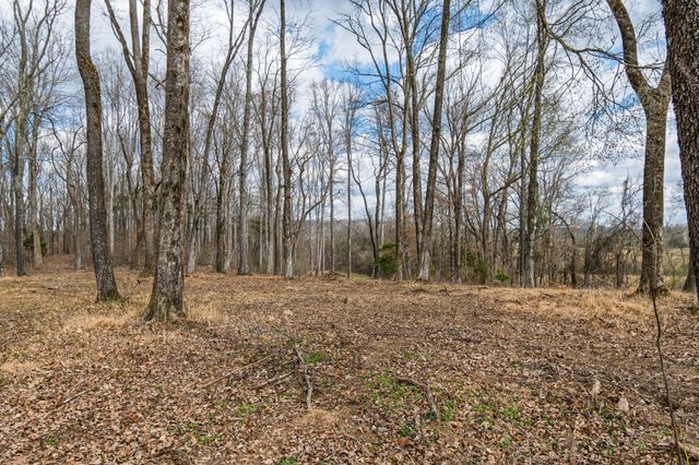 3301 Natural Bridge Rd, Waynesboro, TN 38485