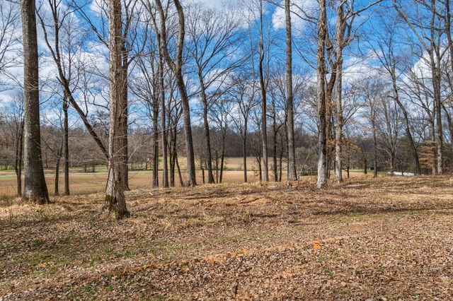 3301 Natural Bridge Rd, Waynesboro, TN 38485