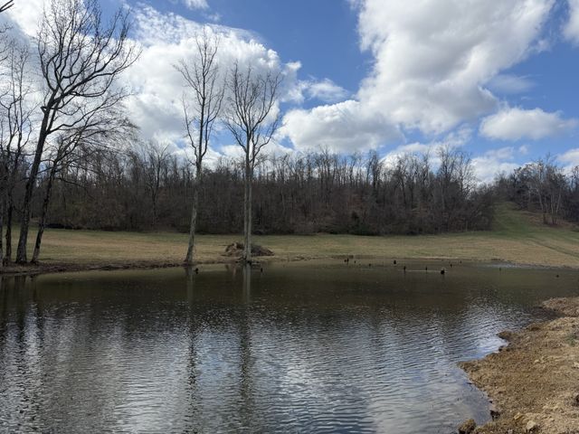 3301 Natural Bridge Rd, Waynesboro, TN 38485