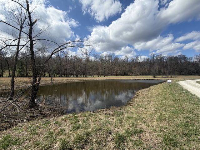 3301 Natural Bridge Rd, Waynesboro, TN 38485