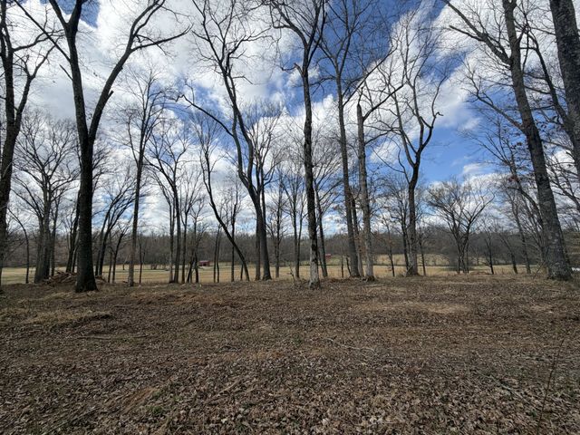 3301 Natural Bridge Rd, Waynesboro, TN 38485