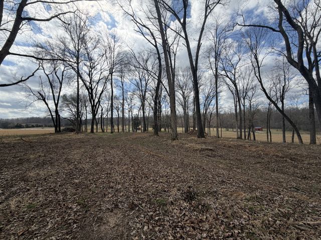 3301 Natural Bridge Rd, Waynesboro, TN 38485