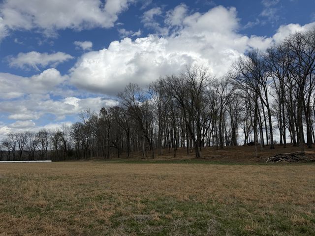 3301 Natural Bridge Rd, Waynesboro, TN 38485