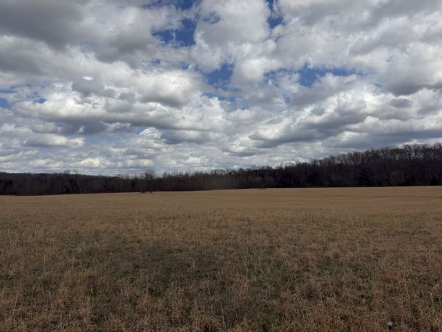 3301 Natural Bridge Rd, Waynesboro, TN 38485