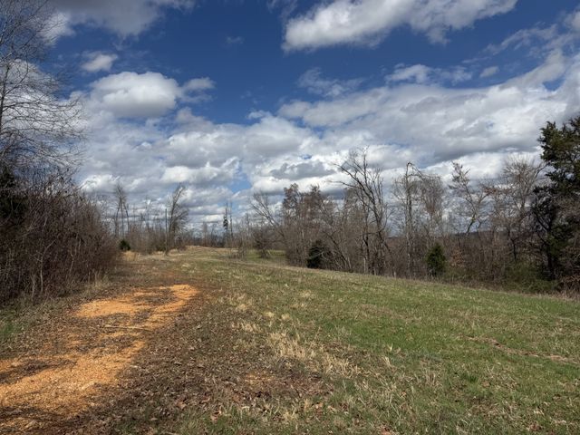 3301 Natural Bridge Rd, Waynesboro, TN 38485