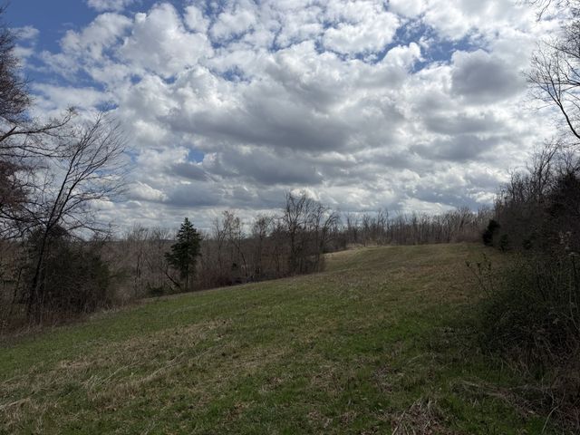 3301 Natural Bridge Rd, Waynesboro, TN 38485