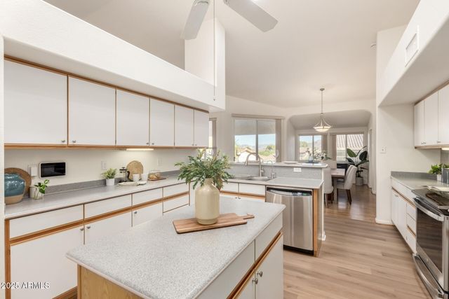 10233 N DEMARET Drive, Fountain Hills, AZ 85268