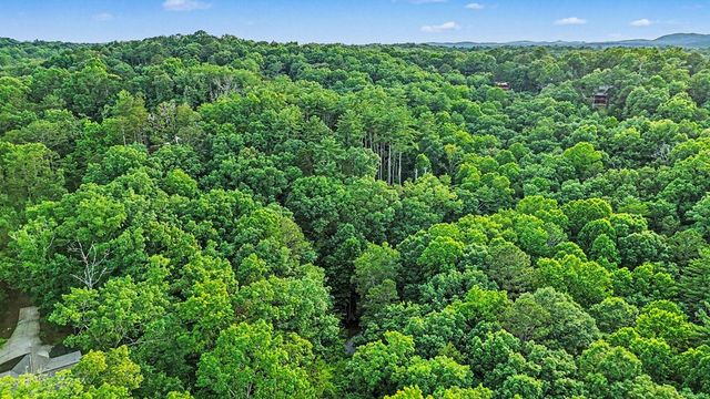 148 Alcan Way, Ellijay, GA 30540